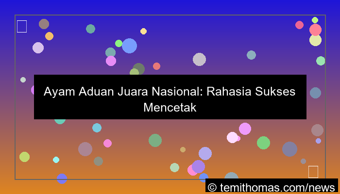 gambar ayam aduan juara nasional