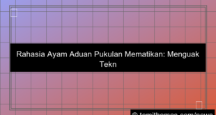 ayam aduan pukulan mematikan