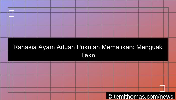 ayam aduan pukulan mematikan
