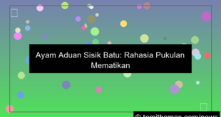 desain ayam aduan sisik batu