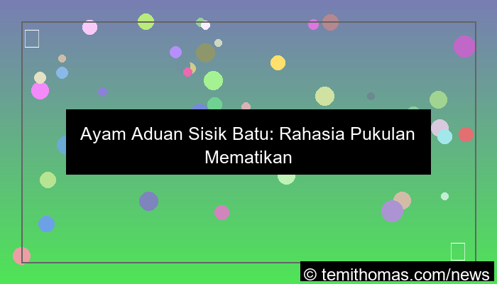 desain ayam aduan sisik batu