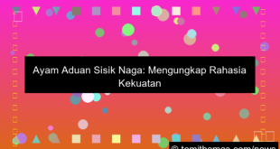 ilustrasi ayam aduan sisik naga