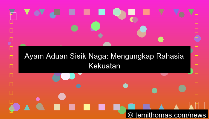 ilustrasi ayam aduan sisik naga