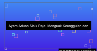 ayam aduan sisik raja