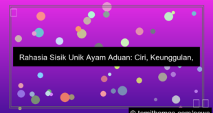 ayam aduan sisik unik