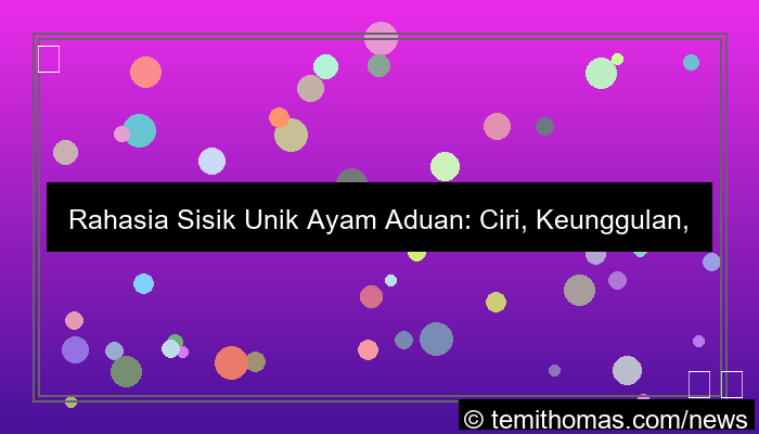 ayam aduan sisik unik