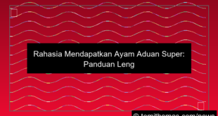 visual ayam aduan super