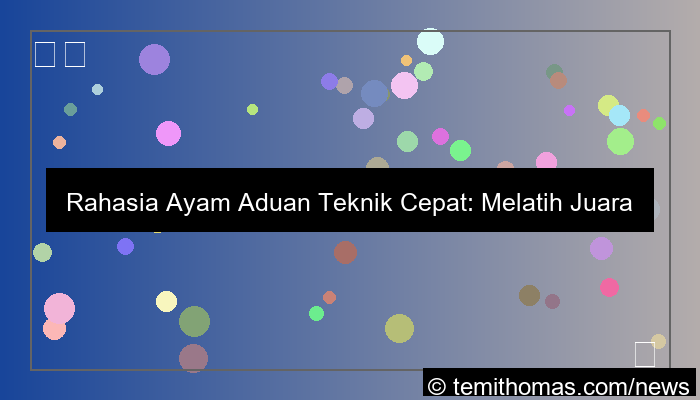 grafik ayam aduan teknik cepat