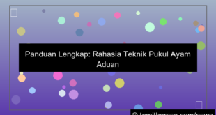 grafik ayam aduan teknik pukul