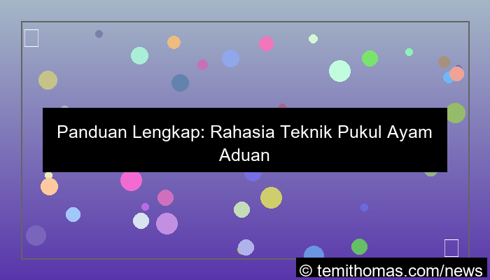 grafik ayam aduan teknik pukul