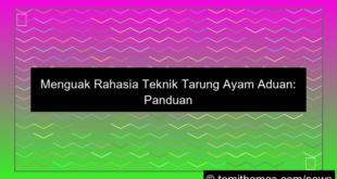 grafik ayam aduan teknik tarung