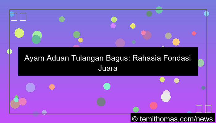 grafik ayam aduan tulangan bagus