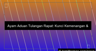 visual ayam aduan tulangan rapat