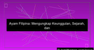 ayam filipina