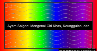 ayam saigon