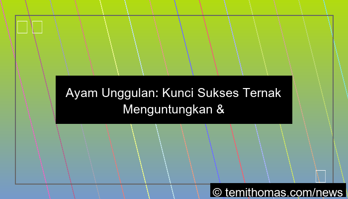 ayam unggulan