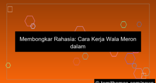 desain cara kerja wala meron