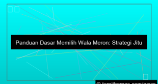 visual dasar memilih wala meron