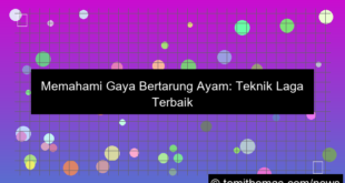 gaya bertarung ayam
