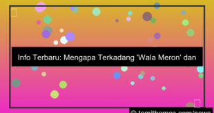 visual info terbaru wala meron