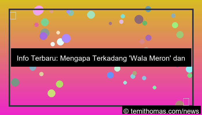 visual info terbaru wala meron