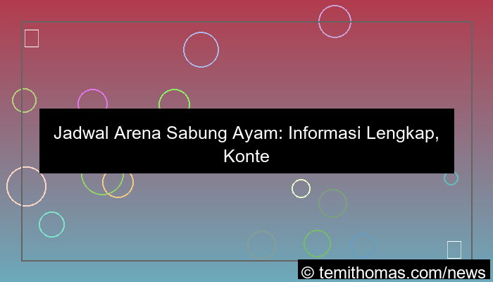 desain jadwal arena sabung ayam
