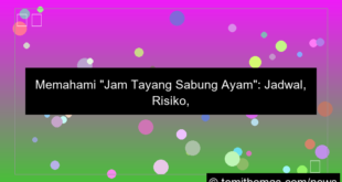 jam tayang sabung ayam