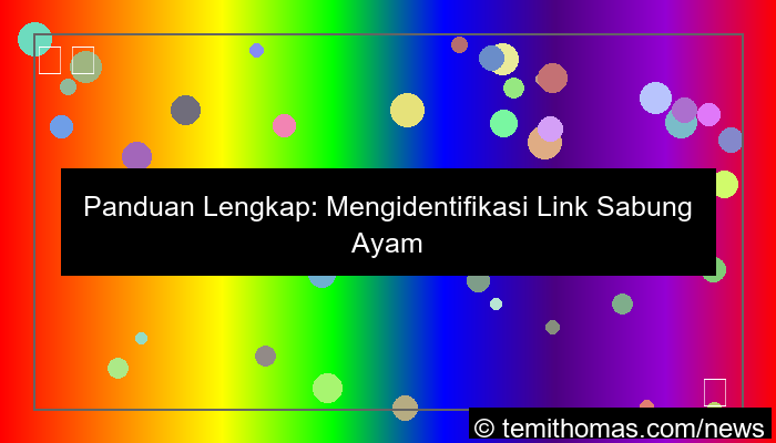 desain link sabung ayam