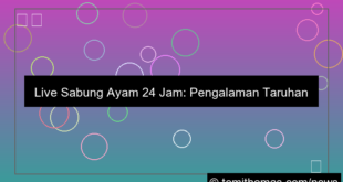 live sabung ayam 24 jam