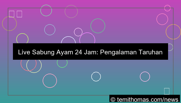 live sabung ayam 24 jam