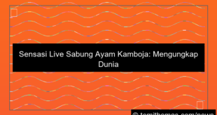 live sabung ayam cambodia