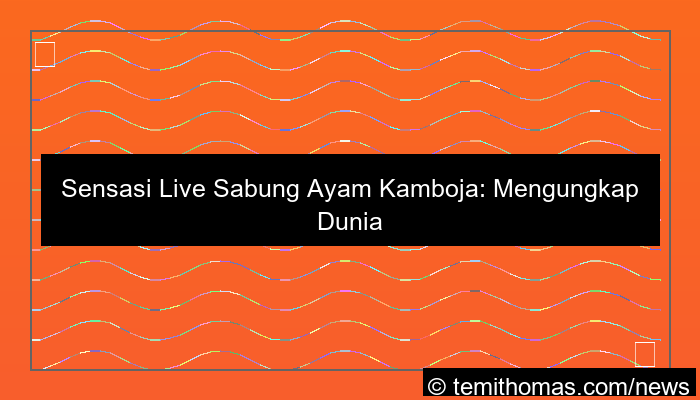 live sabung ayam cambodia