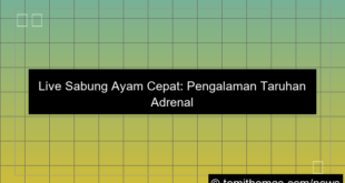 desain live sabung ayam cepat