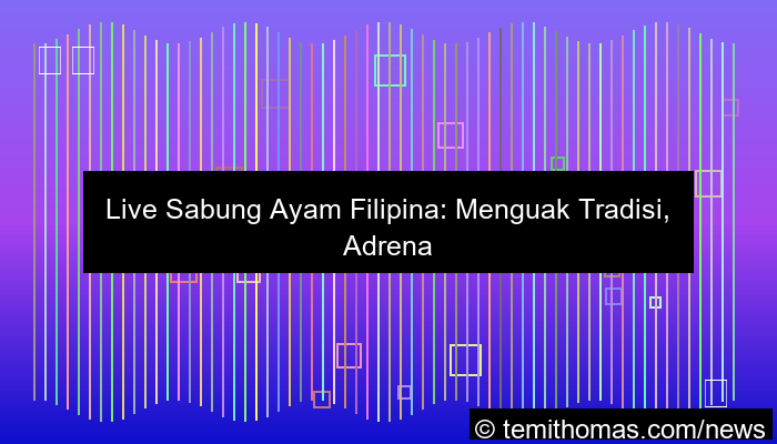 live sabung ayam filipina