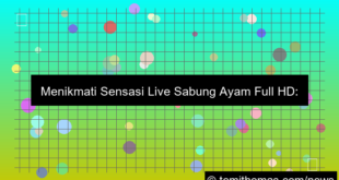 desain live sabung ayam full hd