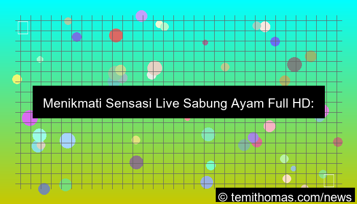 desain live sabung ayam full hd