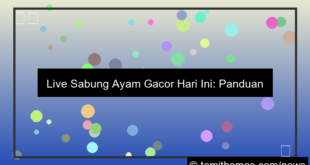 desain live sabung ayam gacor