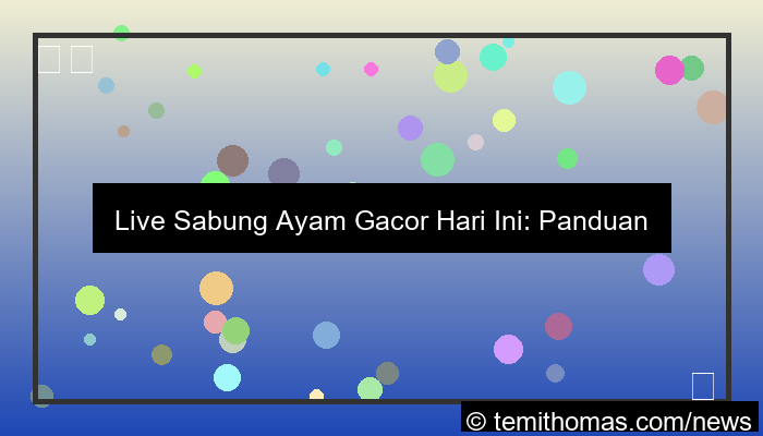 desain live sabung ayam gacor