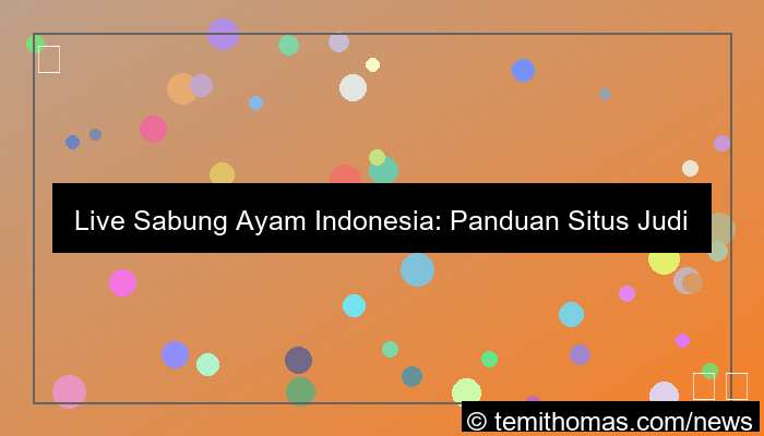 live sabung ayam indonesia