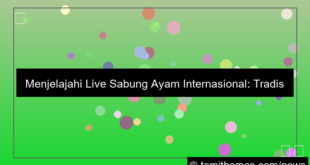 gambar live sabung ayam internasional