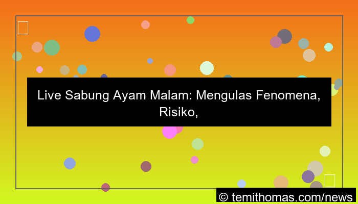 live sabung ayam malam