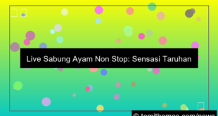 live sabung ayam non stop