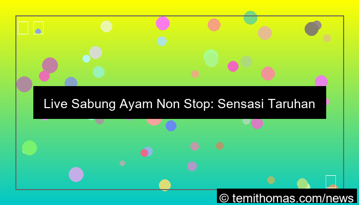 live sabung ayam non stop