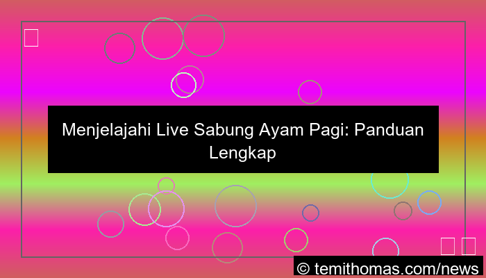 grafik live sabung ayam pagi