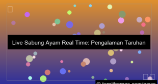 live sabung ayam real time
