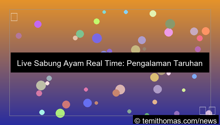 live sabung ayam real time