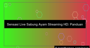 live sabung ayam streaming hd
