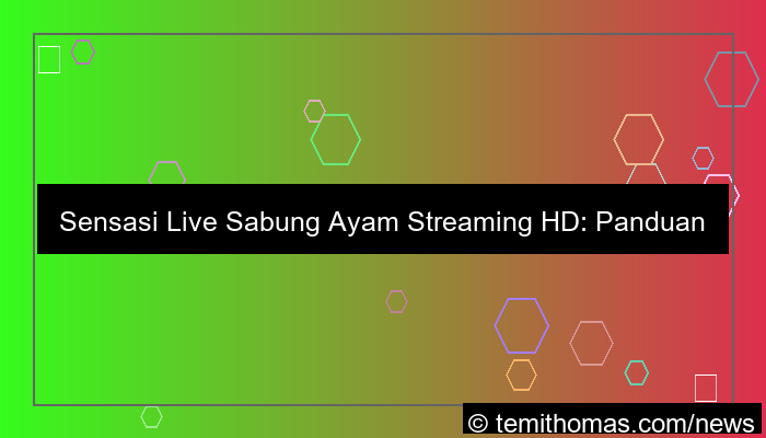 live sabung ayam streaming hd