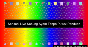 live sabung ayam tanpa putus