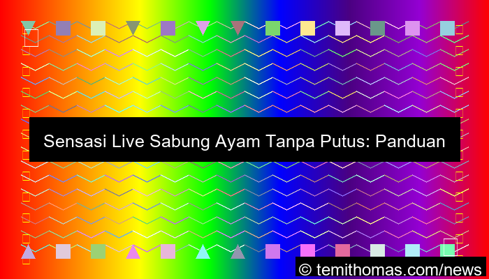 live sabung ayam tanpa putus
